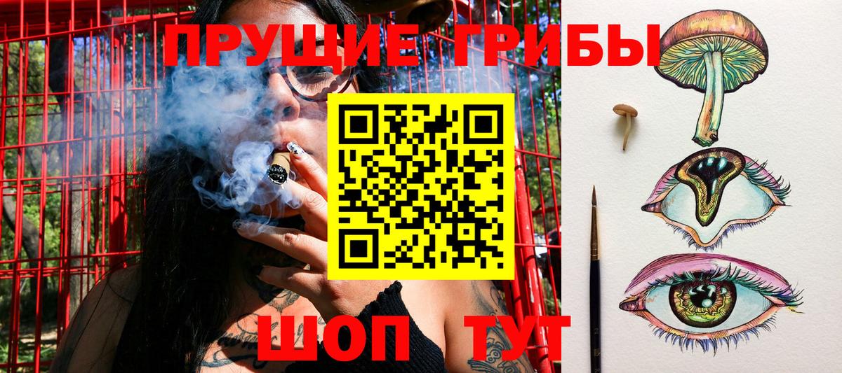 Псилоцибиновые грибы Psilocybine cubensis  Псилоцибиновые грибы прущие грибы  Вход с VPN  Балашов 