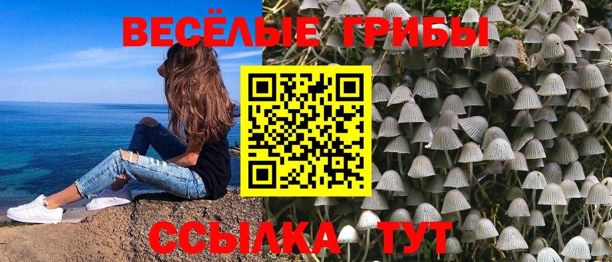 Галлюциногенные грибы ЛСД Балашов